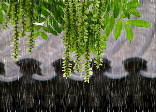 20220224112348front2_0_192931_FhMrGdnuEt-eE2D1tCk3IkcicykX.gif