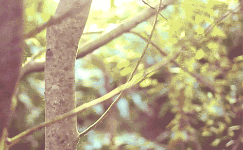 160156ci3l0sf7w2wih7ww.gif