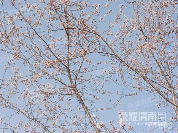 105044dmxliibo40loj4cw.jpg