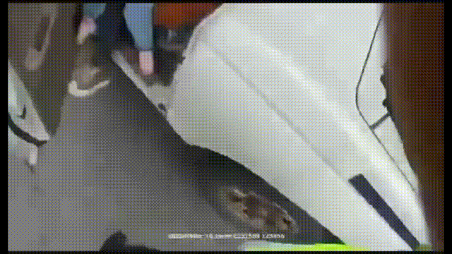 150232hf6hwc6m7kej1k1w.gif