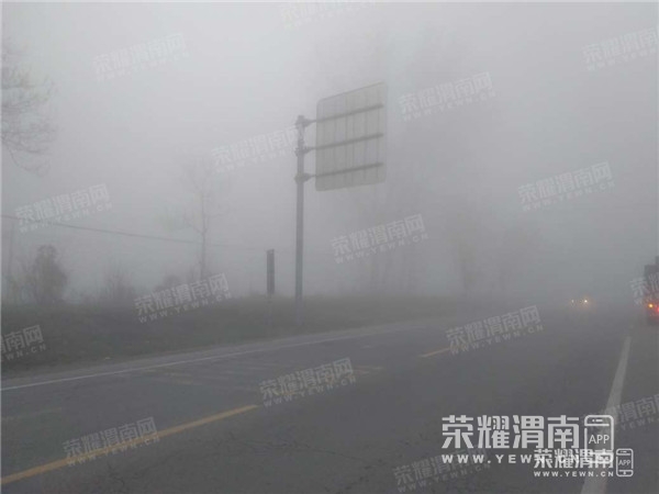 072723qzhtdnfmzfcm7td5_����.jpg