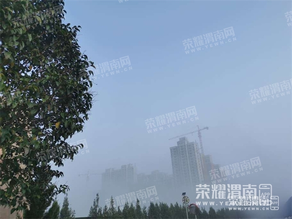 151656ei03q2aagk7ea2g1.jpg