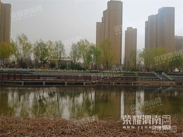 095722qgglohldpgd96gzr.jpg