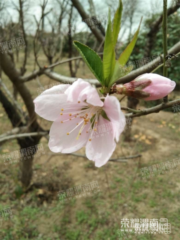 130404p81v1hy7kivks7b0.jpg