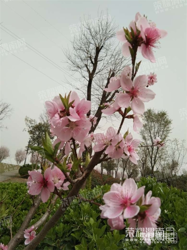 130405mz5hnx80disefdnh.jpg