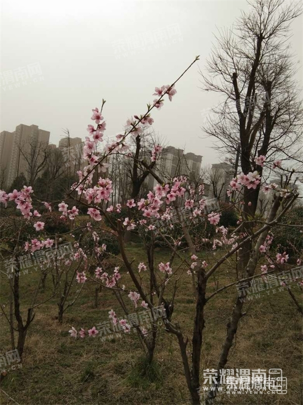 130409ra20buh2xgdarh2m.jpg