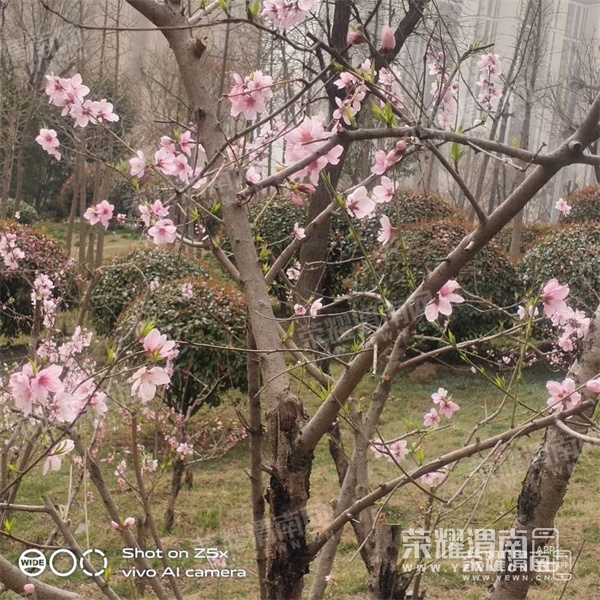 174636tvjixiijqi8i0ccj.jpg