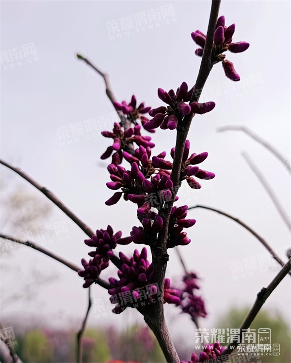 155021iilp5azfg5w76gws.jpg