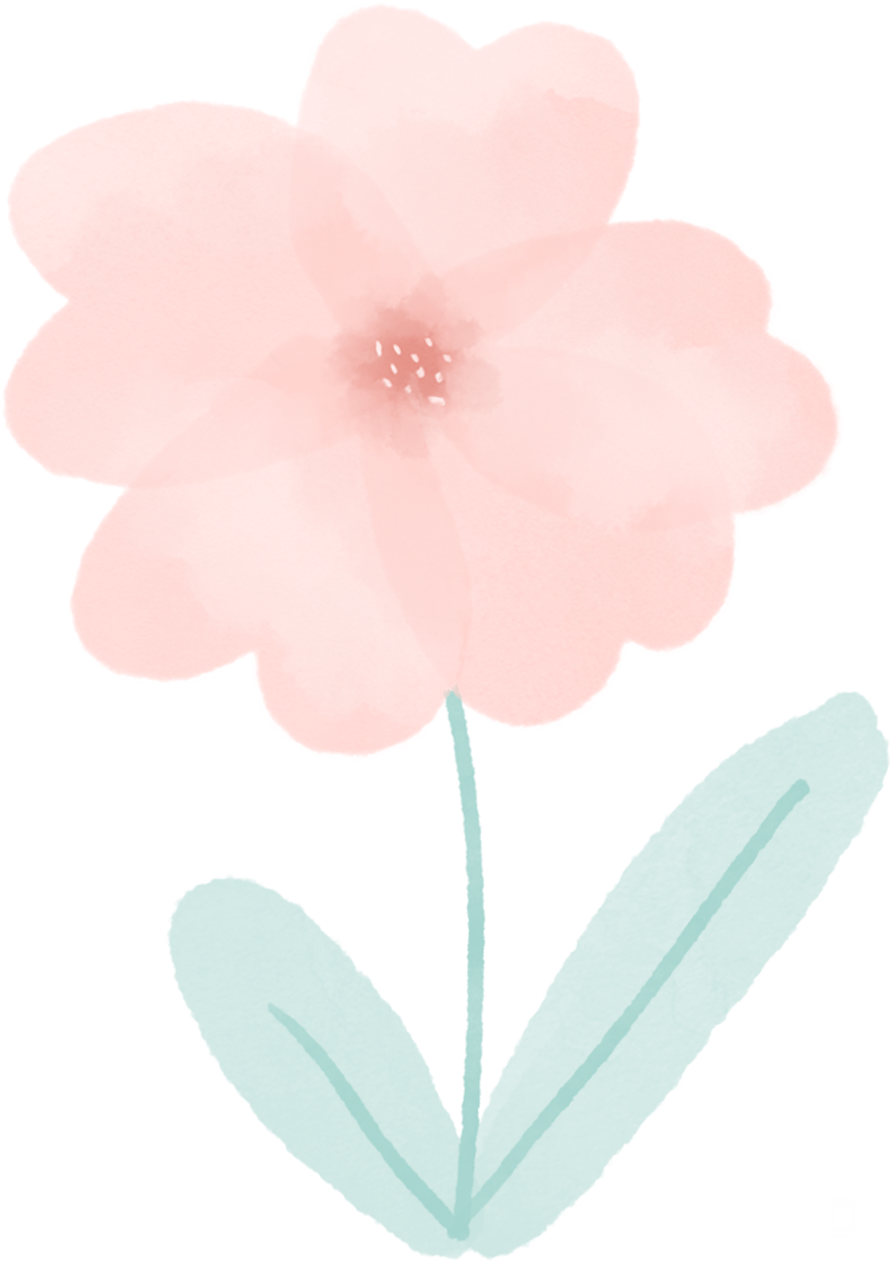 114740vcik755c8acnjntj.png