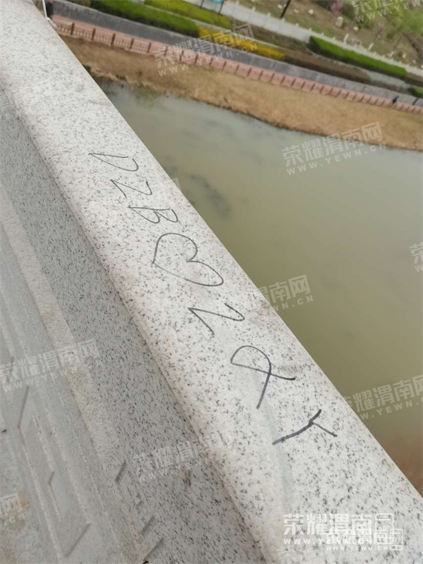 092736b5lomzom5m5qtq5o.jpg