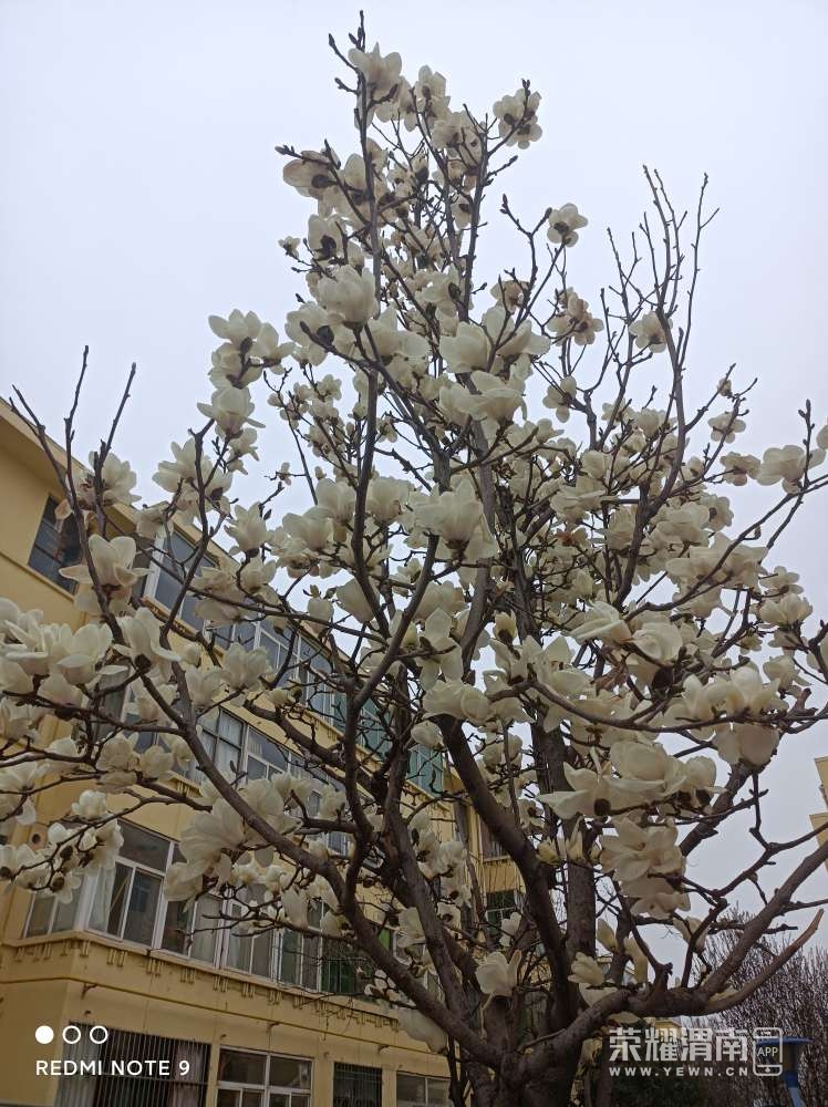 20220319194834front2_0_271605_FhaQ5mv9qFNHRSJSUQpTElZb9hay.jpg
