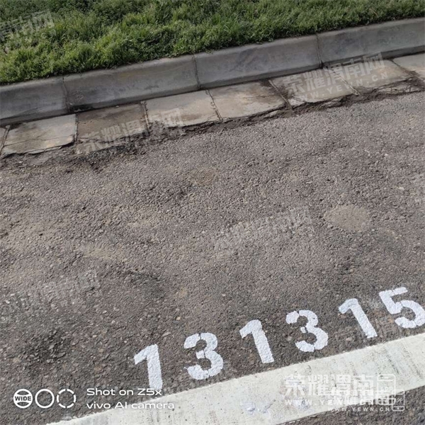 114235zoj66dvddpovk9zp.jpg
