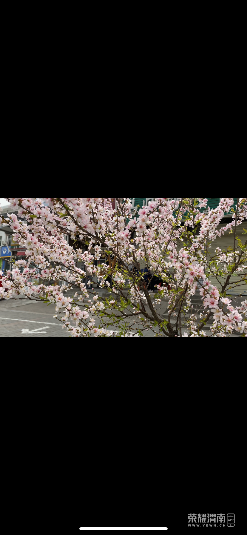 140548sp8k3hc2c32hm232.png