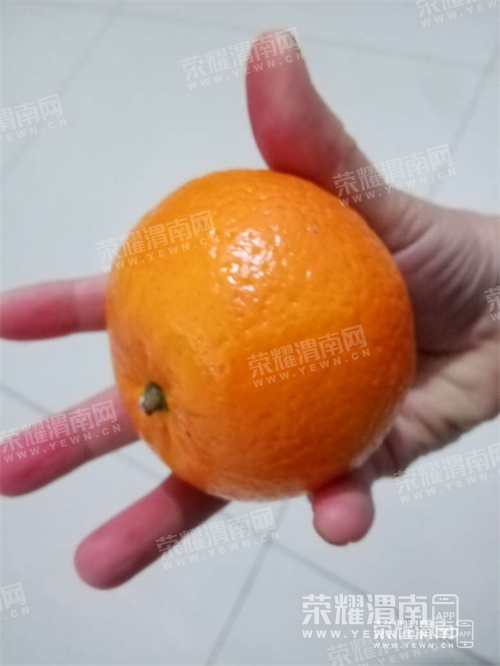 222022qhlf1lrvco3ih6od.jpg