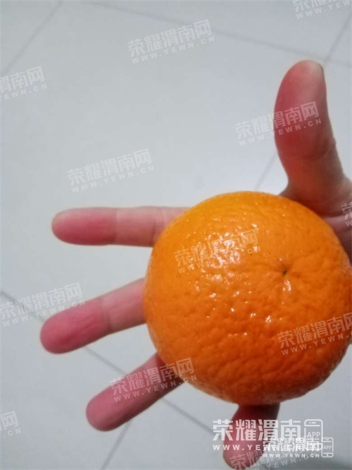 222022sifbu5jjzz9u2hwg.jpg