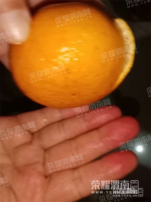 222022u4qocmxezgcm04oj.jpg