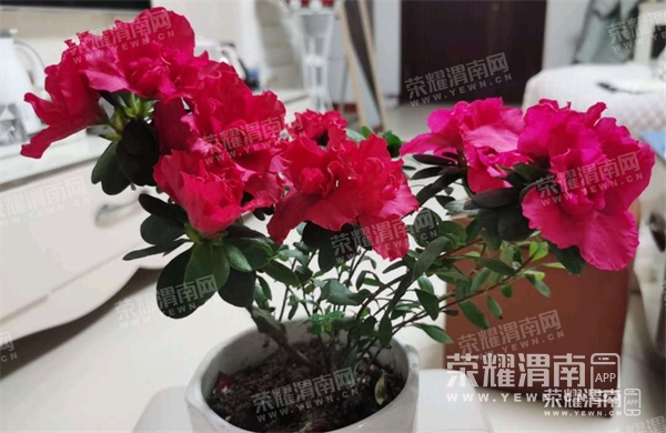 103619gm1fe4vnyc3qqey1.jpg