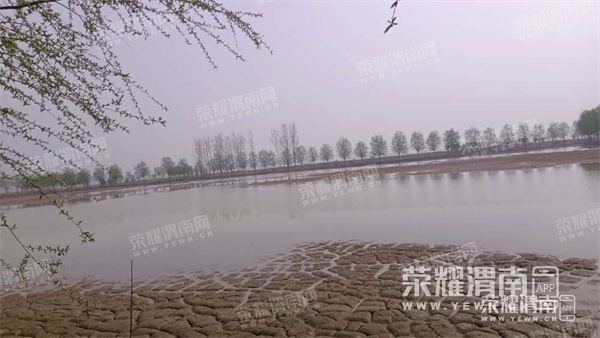 113503nhpkadhfdq4vh80l.jpg