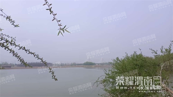 113503misqhsrygdariusi.jpg