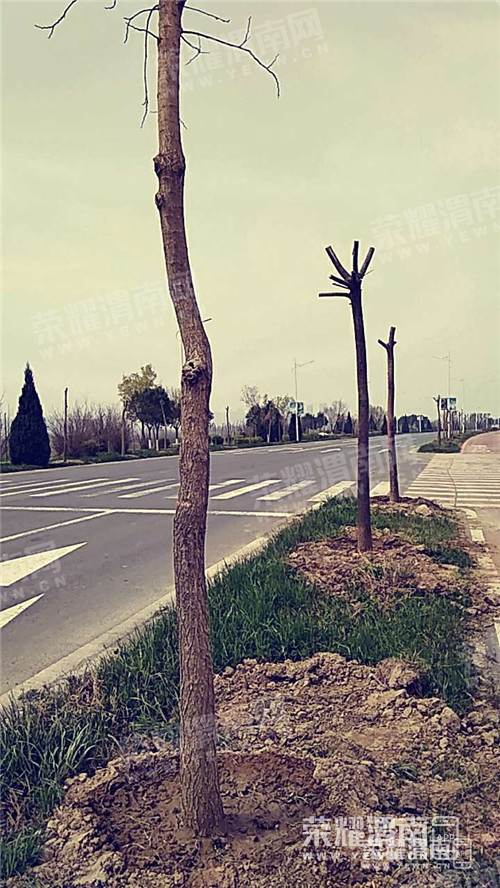123631hhutxwa7dbuwag87.jpg