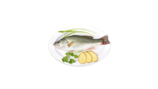 170244f620dto36z4ty462.png