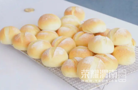 170246wphfh4uwjpqqjfnu.png