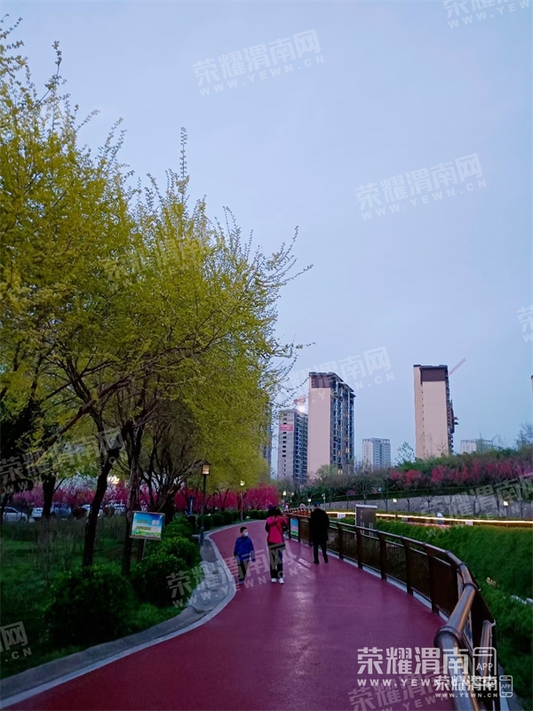 120430lxmocz4ecjx49gyc.jpg