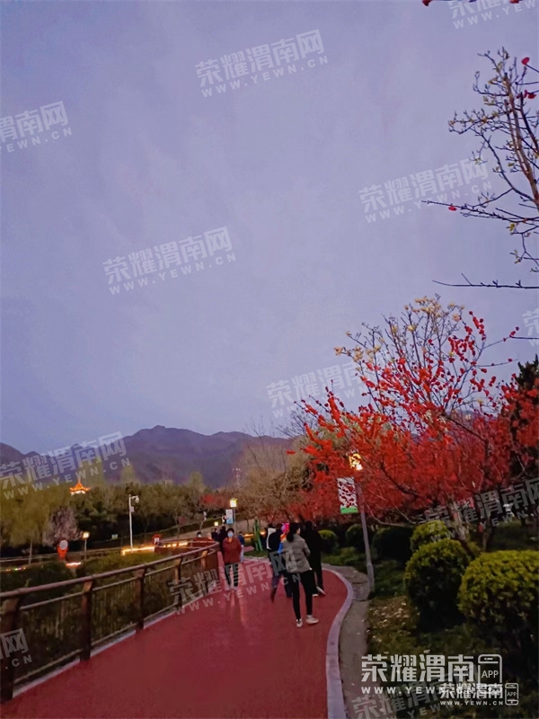 120431yjqmjg1qq2011q26.jpg