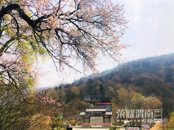 153135hprc00t0fygobpfc.jpg