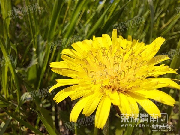 164807gf3scmmc4vijch9m.jpg