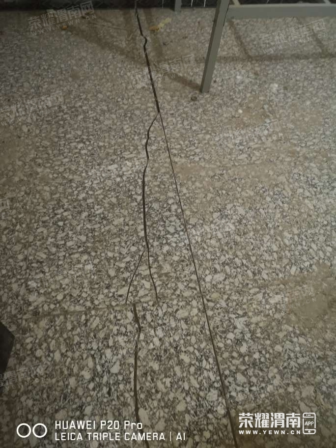96.jpg