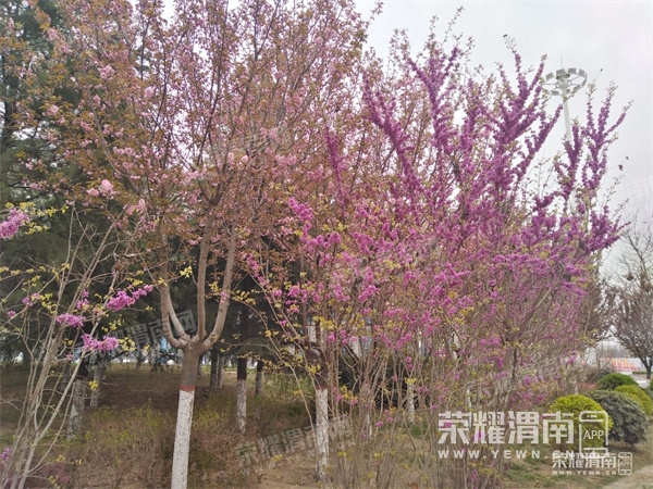 102047hj144l1646zzm6j4.jpg