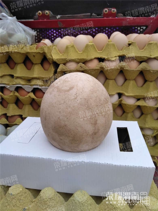 131511p9p731rp8iw88a78.jpg