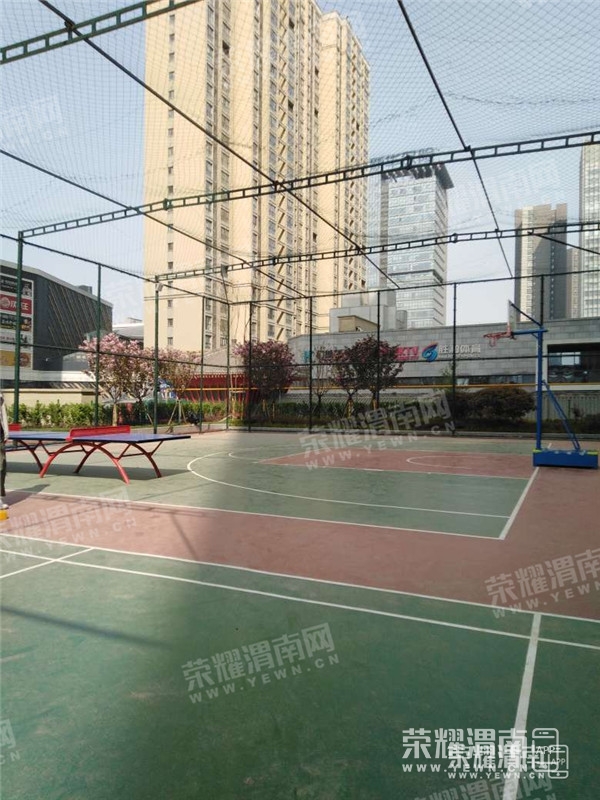 154431bvia3iu4oc86ba63.jpg