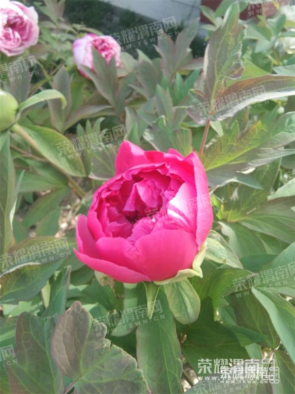 091022waa1j1cylvfzigqj.jpg