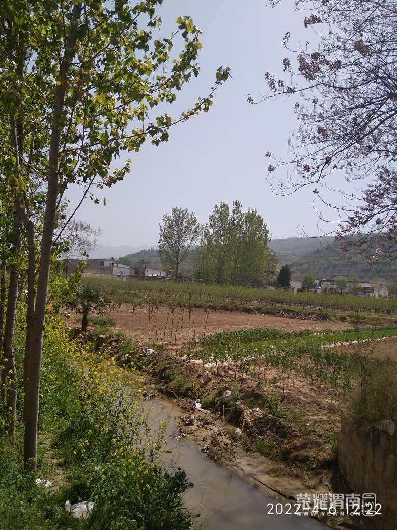 20220406183745front2_0_223375_FonkZUXzl2LJ0sBnzuHUi-wauXh1.jpg