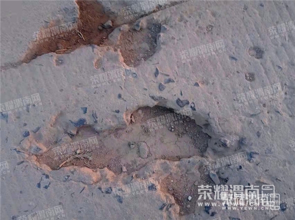 191623qctc8tv1p67k7zlj.jpg