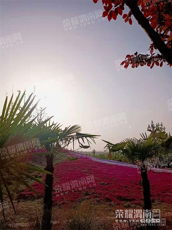 111012jg39x892d12lj98c.jpg