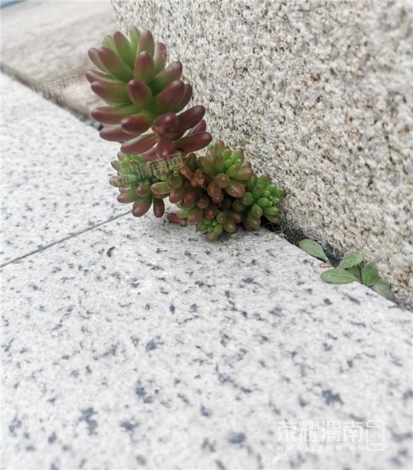 ΢��ͼƬ_20220410114206.jpg