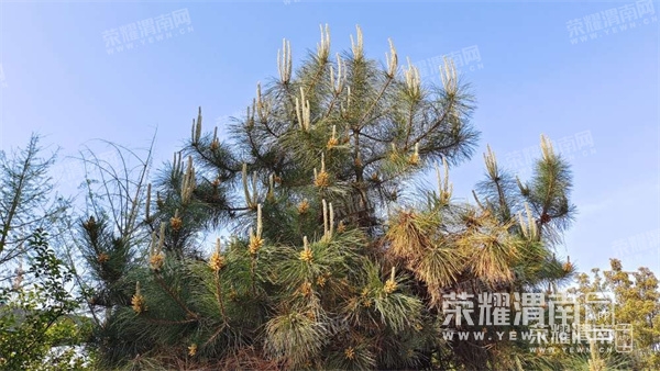 143058hqrhkk48jhreesh2.jpg