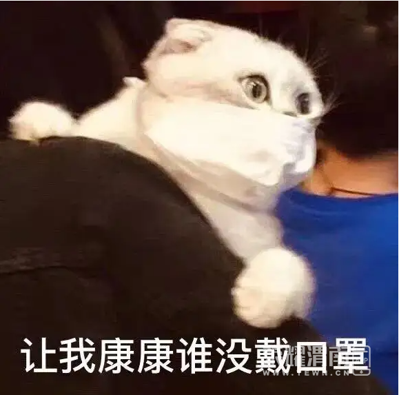 171959jq1q6hh8cph1p26q.png