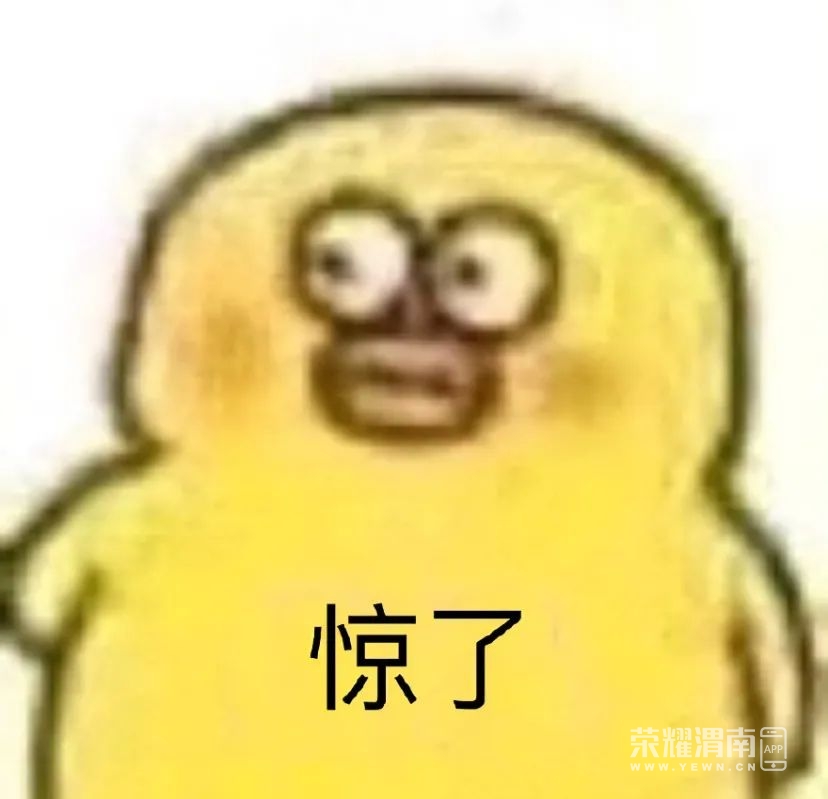 103019zk88qacckbjc8bnk.jpeg