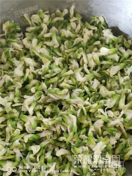 124627applwpl42nlwcow3.jpg