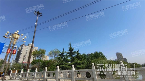 100405r1psi818cvstd8sz.jpg