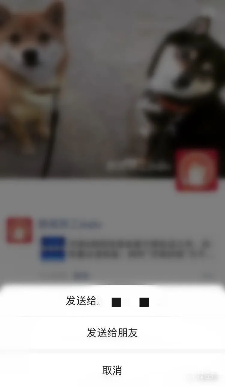 110813jk3kdkmx3ko83myo.jpeg