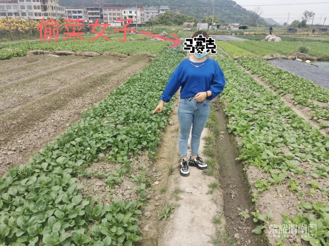 113120mxnsgnbzhzpxw9ge.jpeg