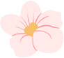 110848lyx62mli5n5zsaya.png