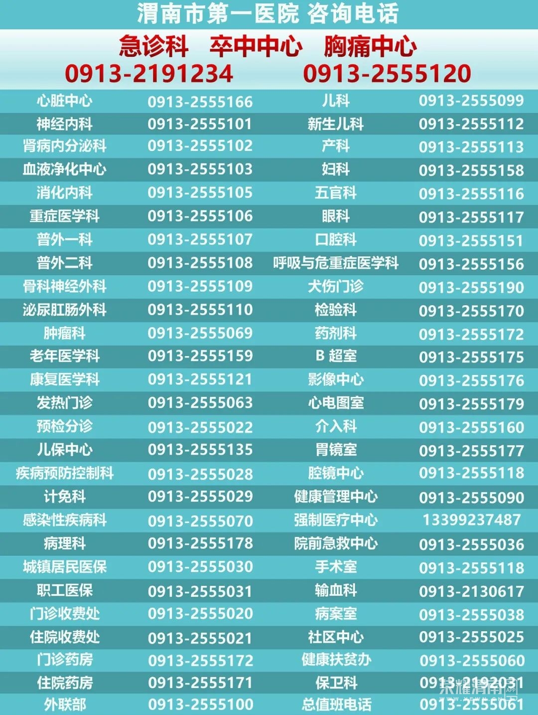 110914ygl15zicc1cazl0v.jpeg