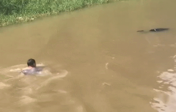 160447vkqqiw9i19v9q0zl.gif