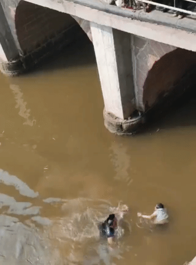 144505ce076x60az6ae02a.gif